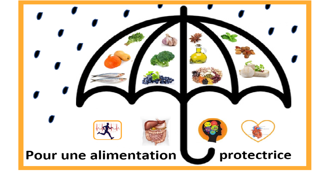 alim protect un peu allongée