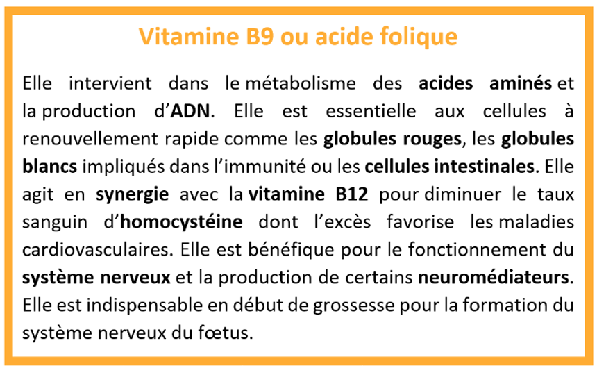 vit b9