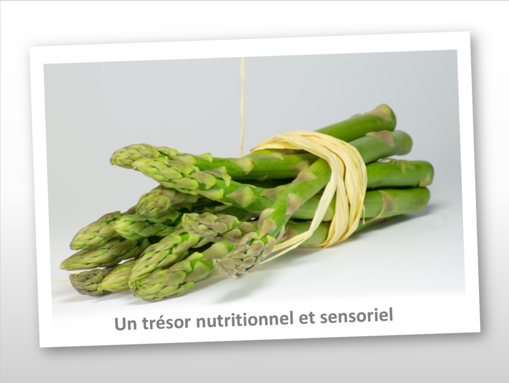 L'asperge, un trésor nutritionnel et sensoriel